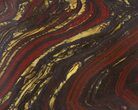 Tiger Iron Stromatolite Shower Tile - Billion Years Old #48814-1
